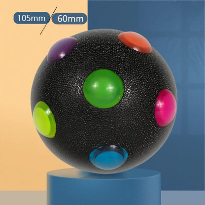 Fun Glow Pet Ball Toy