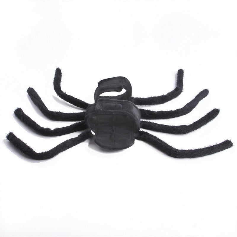 Cute Spider Animal Pet Costume