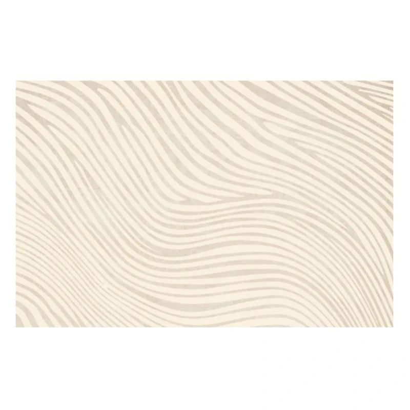 Ultra Soft Non-Slip Large Area Rug for Bedroom