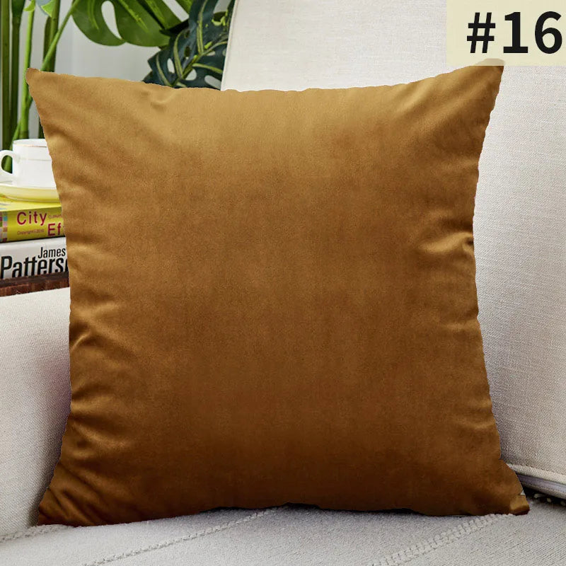 Soft Velvet Pillow Cover for Home Decor