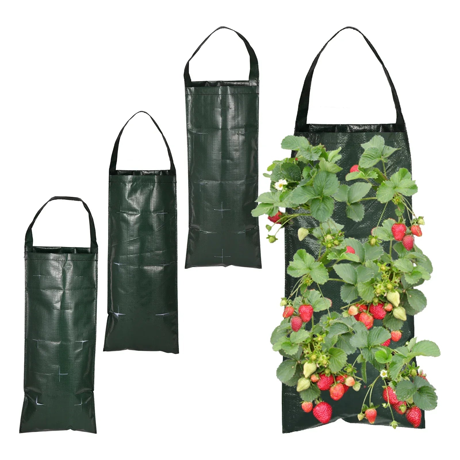 Hanging Planter Bag for Herbs and Strawberries - Halri