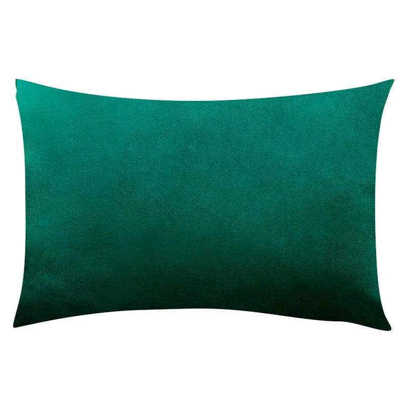 Soft Velvet Pillow in Pastel Bright Colors