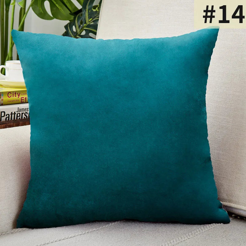 Soft Velvet Pillow Cover for Home Decor