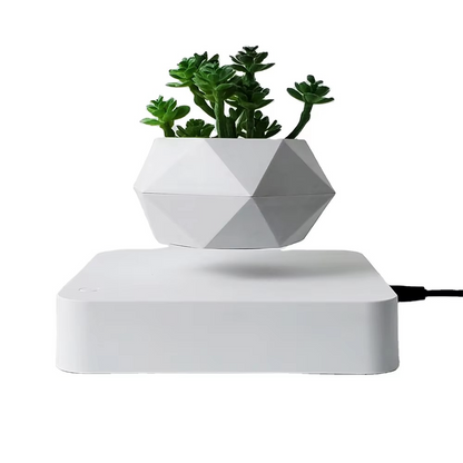 Unique Floating Bonsai Pot for Home Decor - Halri