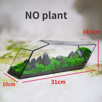 Mini Glass Succulent Planter Vase