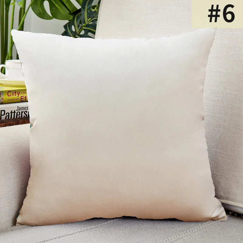 Soft Velvet Pillow Cover for Home Decor
