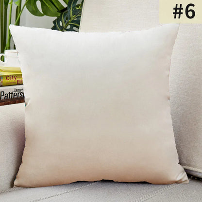 Soft Velvet Pillow Cover for Home Decor