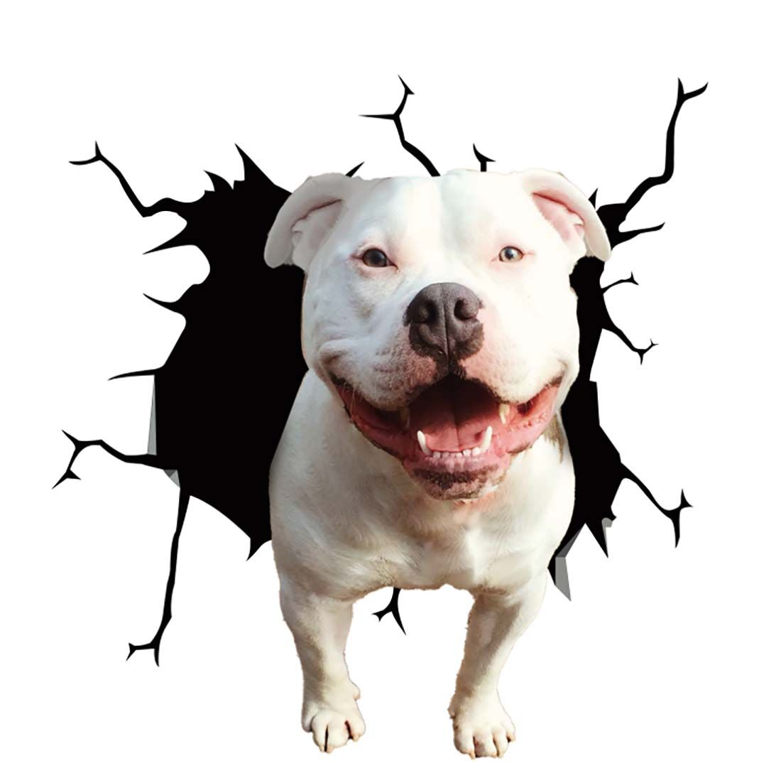 Fun 3D Dog Car Scratch Cover Sticker - Halri