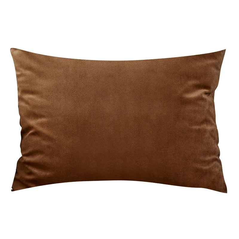 Soft Velvet Pillow in Pastel Bright Colors