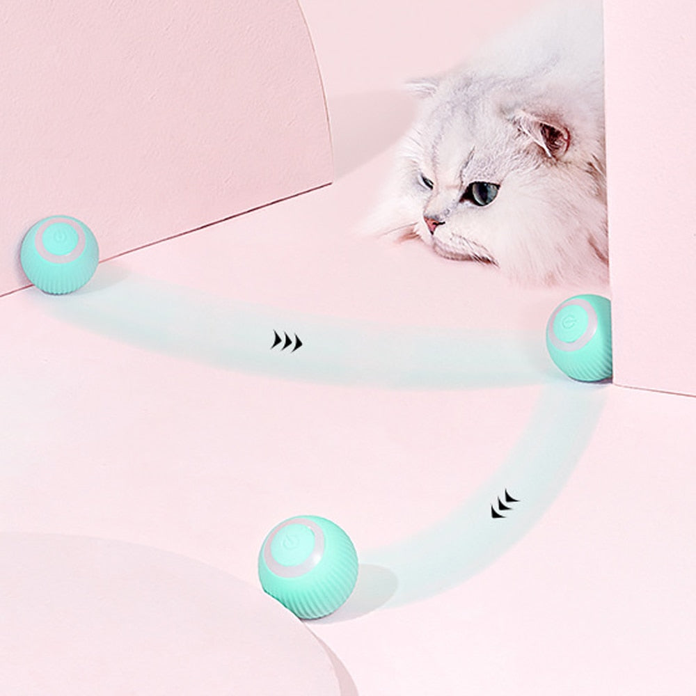 Fun Interactive Automatic Pet Toy Ball - Halri