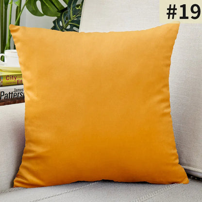 Soft Velvet Pillow Cover for Home Decor