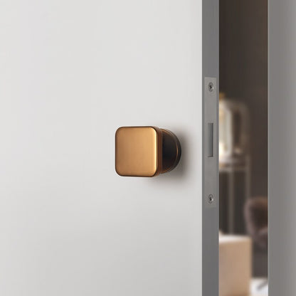 Hidden Keyless Door Lock Protector