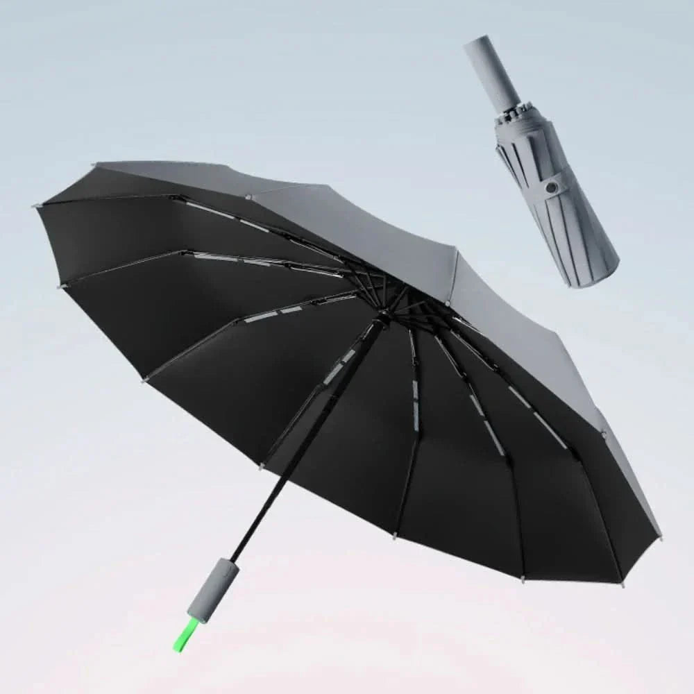 Compact Rain and Windproof Travel Umbrella - Halri