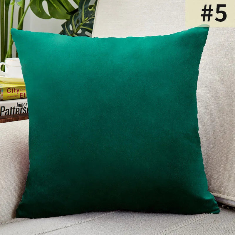 Soft Velvet Pillow Cover for Home Decor
