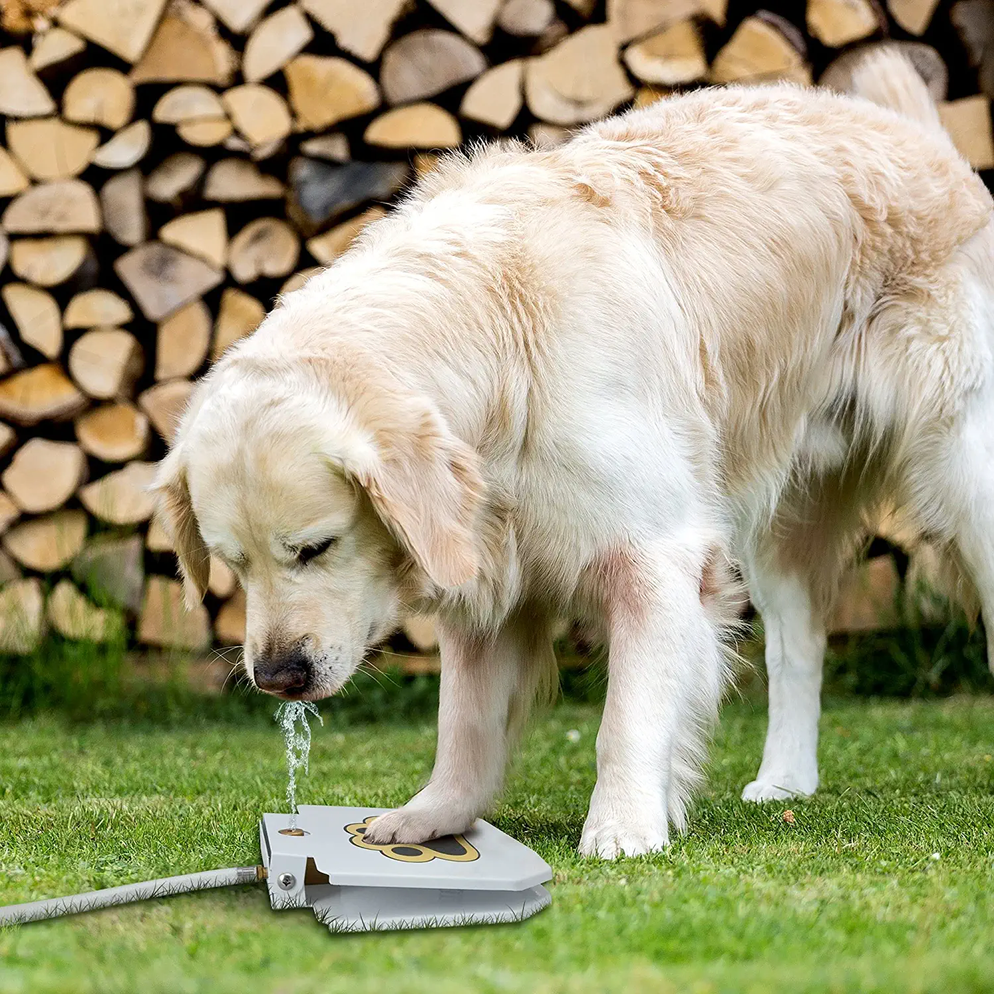Automatic Paw Activated Pet Water Fountain Sprayer