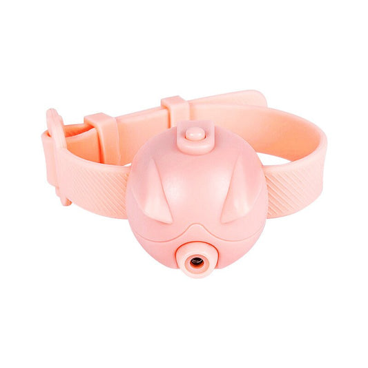 Fun Pet Red Laser Pointer Toy - Halri