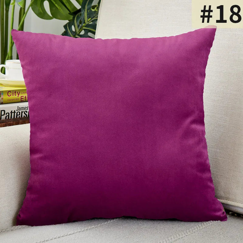 Soft Velvet Pillow Cover for Home Decor
