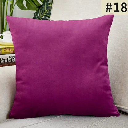 Soft Velvet Pillow Cover for Home Decor