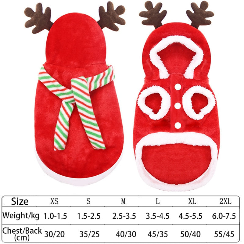 Fun Christmas Dog Outfits