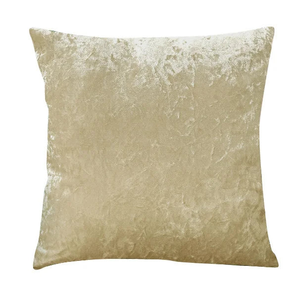 Plush Velvet Accent Pillow for Home and Living Room