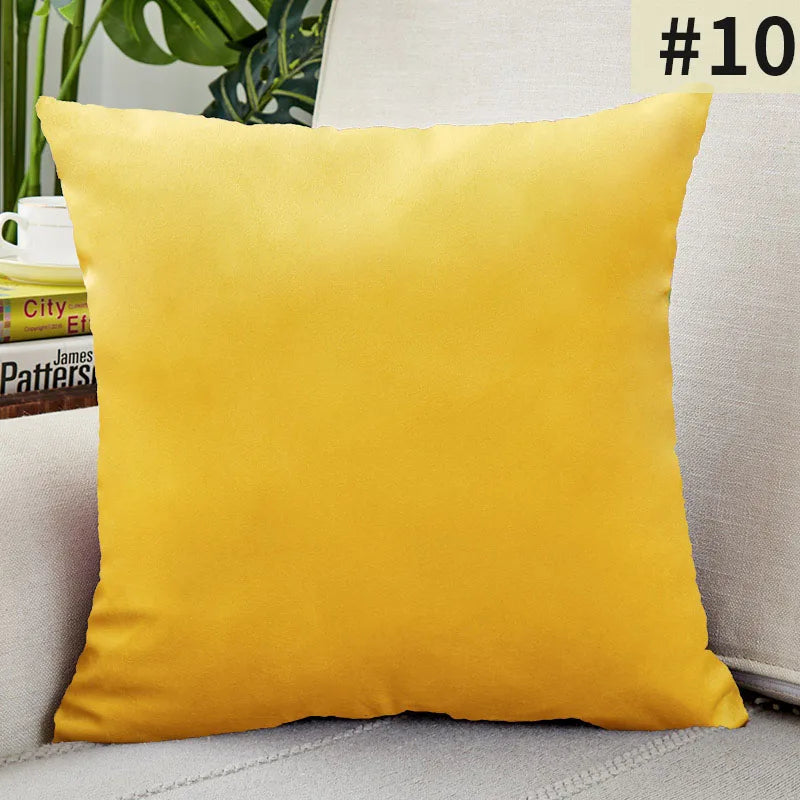 Soft Velvet Pillow Cover for Home Decor