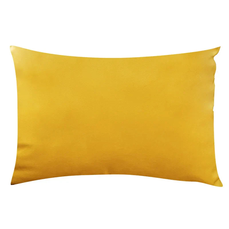 Soft Velvet Pillow in Pastel Bright Colors