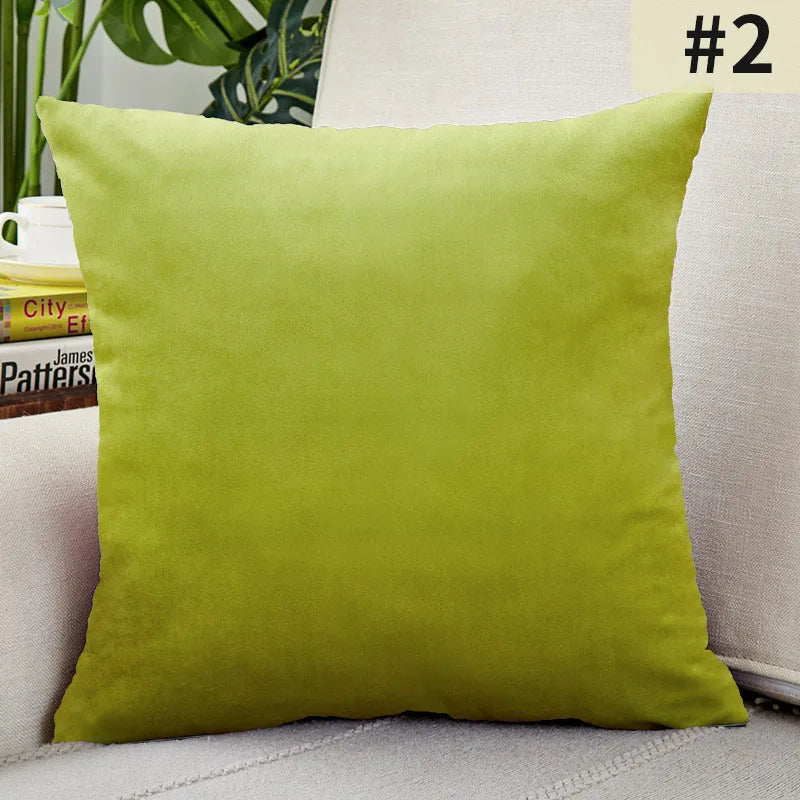 Soft Velvet Pillow Cover for Home Decor