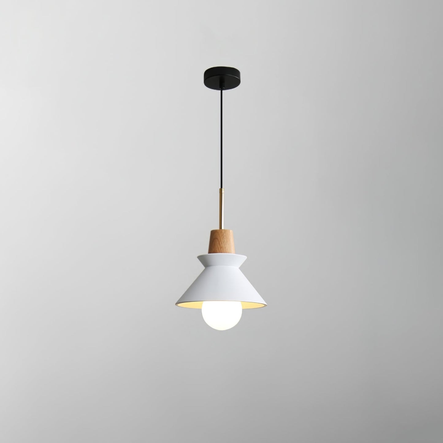 Modern Round Hanging Light