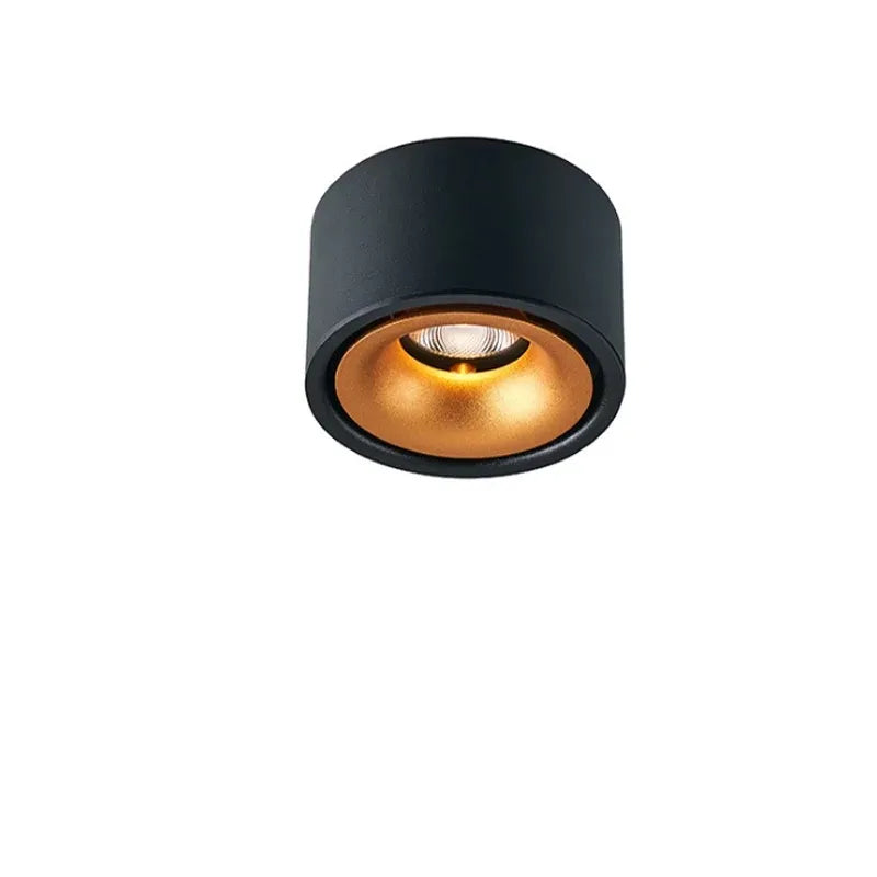 Anti-glare LED Ceiling Spotlight