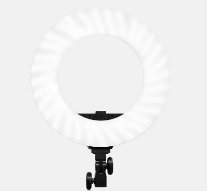 Slim LED Ring Light Kit with Adjustable Stand - Halri