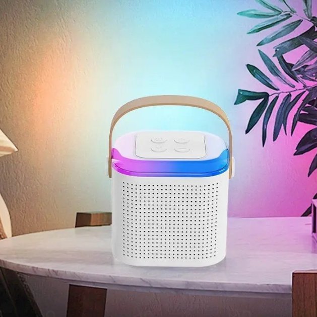Portable Wireless Karaoke Microphone - Halri