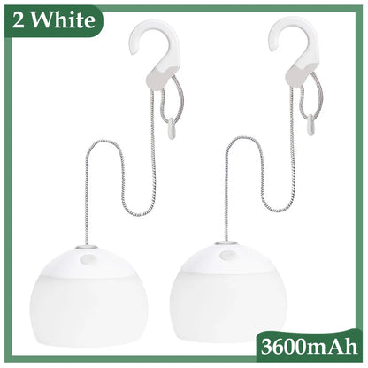 Vintage Outdoor USB Rechargeable Camping Lamp