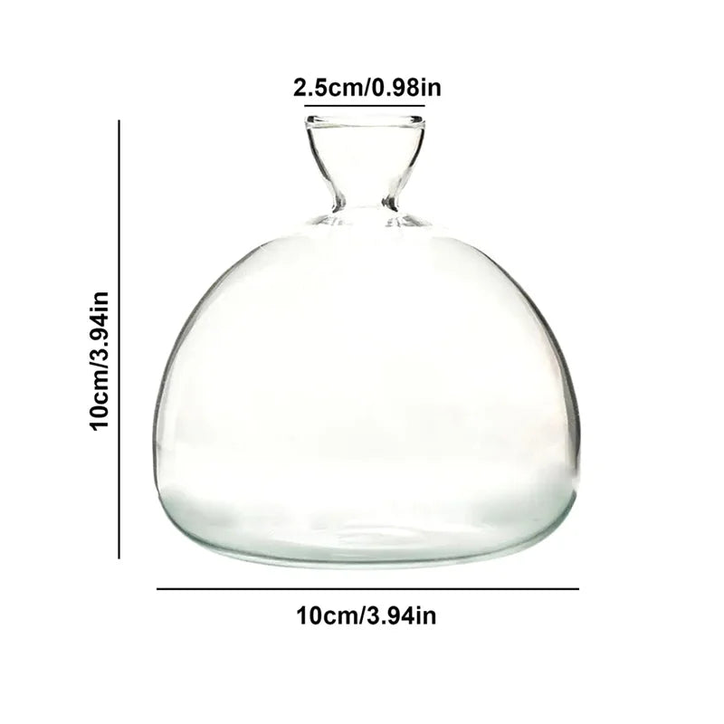 Clear Glass Avocado Planter Vase - Halri