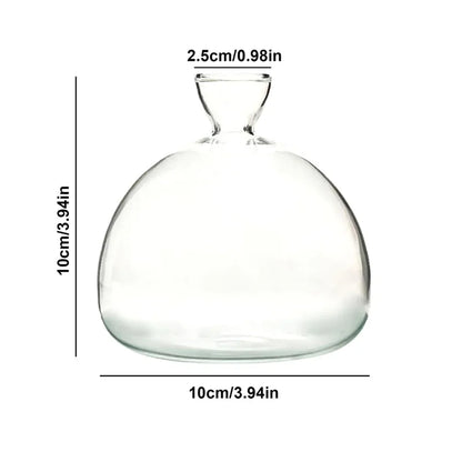 Clear Glass Avocado Planter Vase - Halri