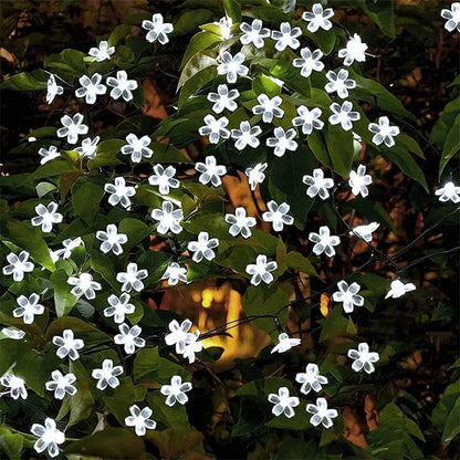 Outdoor Solar Fairy Lights 20-100 LEDs Warm White