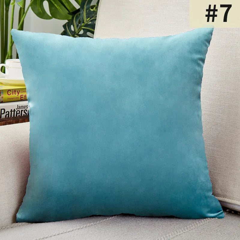 Soft Velvet Pillow Cover for Home Decor