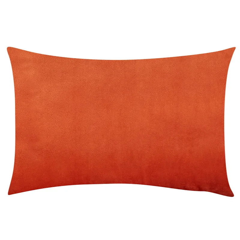 Soft Velvet Pillow in Pastel Bright Colors
