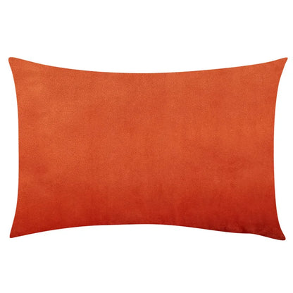 Soft Velvet Pillow in Pastel Bright Colors