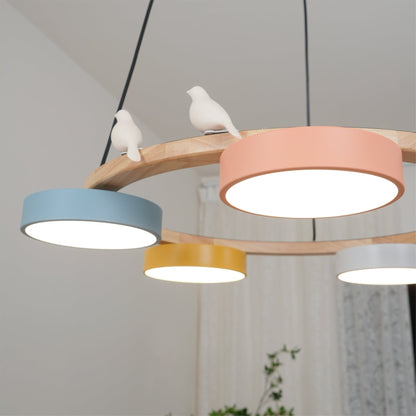 Beautiful Round Pendant LED Birdcage Light Fixture