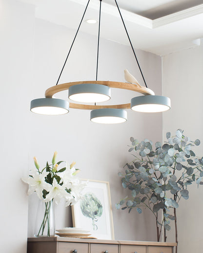 Beautiful Round Pendant LED Birdcage Light Fixture
