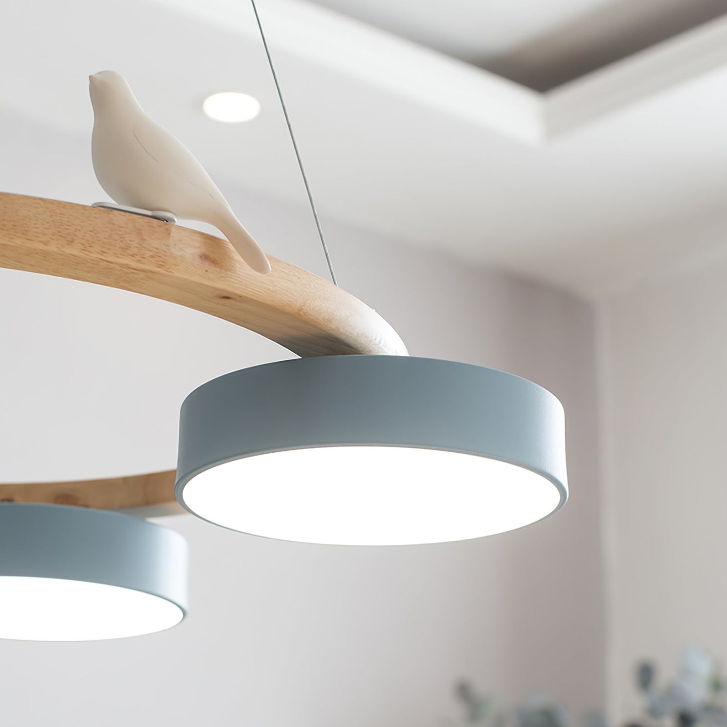 Beautiful Round Pendant LED Birdcage Light Fixture