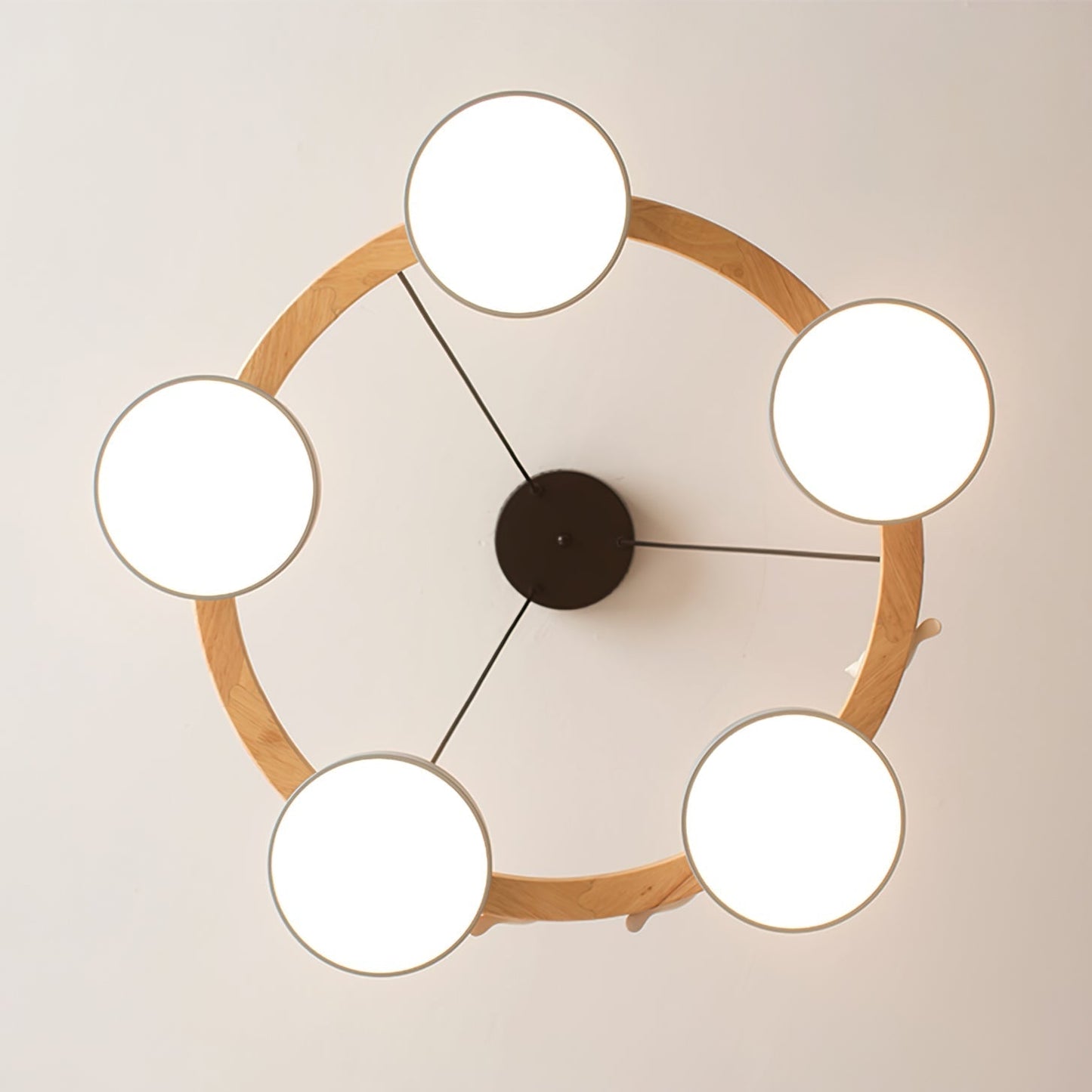Beautiful Round Pendant LED Birdcage Light Fixture