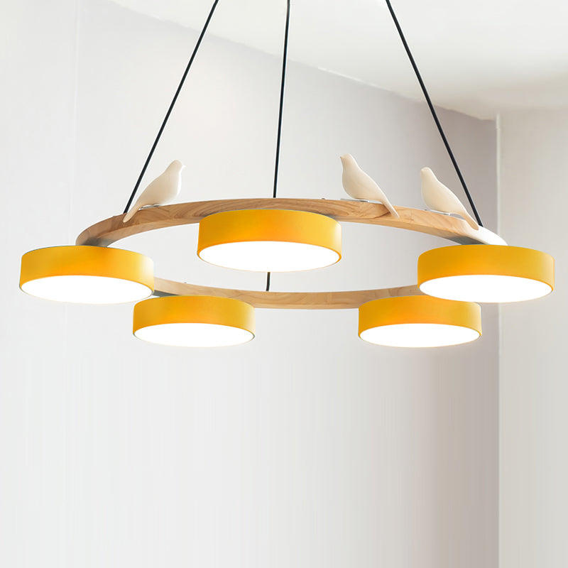 Beautiful Round Pendant LED Birdcage Light Fixture