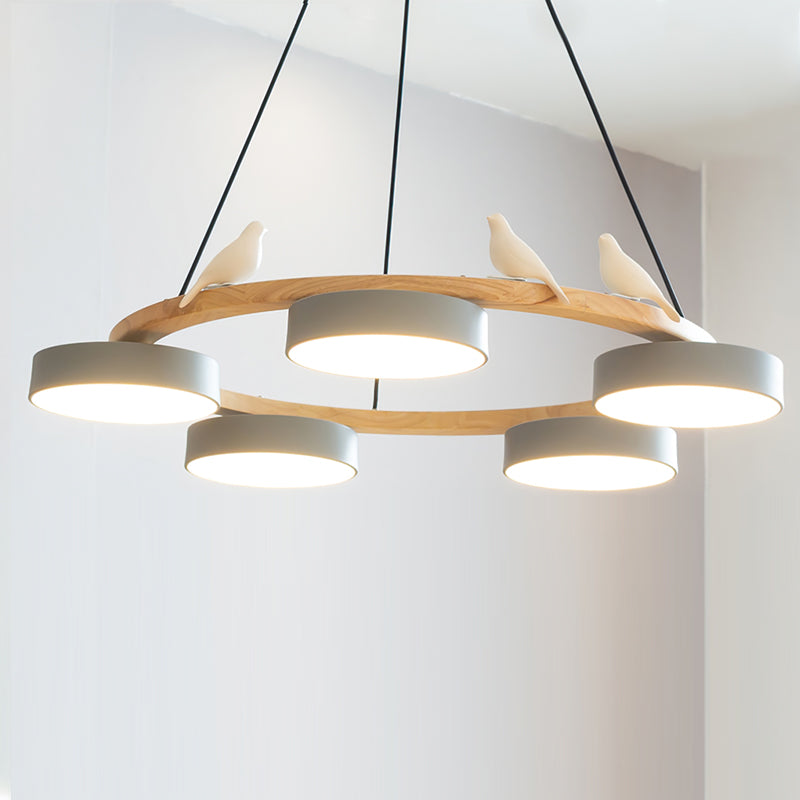 Beautiful Round Pendant LED Birdcage Light Fixture