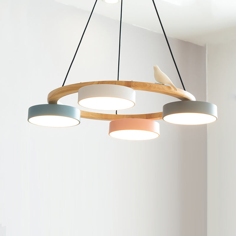 Beautiful Round Pendant LED Birdcage Light Fixture