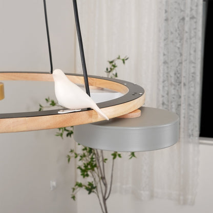 Beautiful Round Pendant LED Birdcage Light Fixture