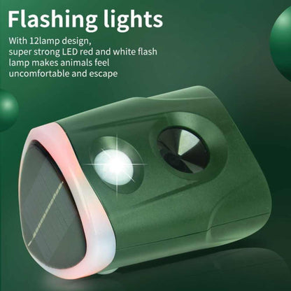 Outdoor motion activated pest repellent 3 in 1