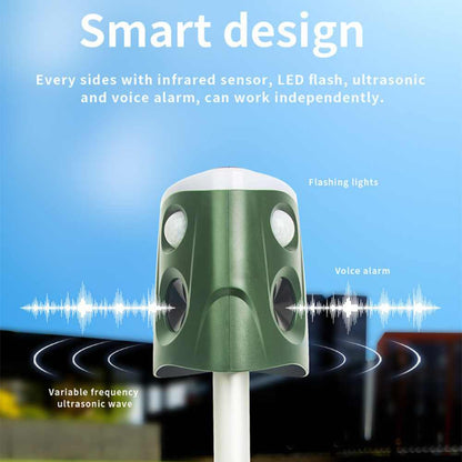 Outdoor motion activated pest repellent 3 in 1
