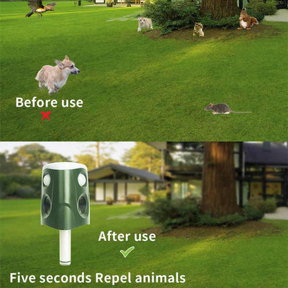 Outdoor motion activated pest repellent 3 in 1