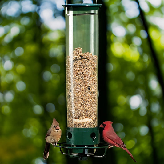 Wild Bird Feeder with Squirrel Proof Spin Tray - Halri